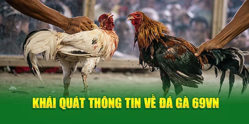 da-ga-69vn-cung-nhung-thong-tin-huu-ich-can-biet-chi-tiet